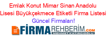 Emlak+Konut+Mimar+Sinan+Anadolu+Lisesi+Büyükçekmece+Etiketli+Firma+Listesi Güncel+Firmaları!