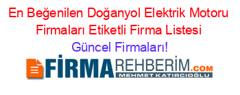 En+Beğenilen+Doğanyol+Elektrik+Motoru+Firmaları+Etiketli+Firma+Listesi Güncel+Firmaları!