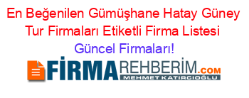 En+Beğenilen+Gümüşhane+Hatay+Güney+Tur+Firmaları+Etiketli+Firma+Listesi Güncel+Firmaları!