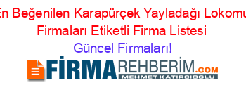 En+Beğenilen+Karapürçek+Yayladağı+Lokomu+Firmaları+Etiketli+Firma+Listesi Güncel+Firmaları!