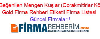 En+Beğenilen+Mengen+Kuşlar+(Corakmitirlar+Köyü)+Gold+Firma+Rehberi+Etiketli+Firma+Listesi Güncel+Firmaları!