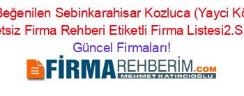 En+Beğenilen+Sebinkarahisar+Kozluca+(Yayci+Köyü)+Ucretsiz+Firma+Rehberi+Etiketli+Firma+Listesi2.Sayfa Güncel+Firmaları!
