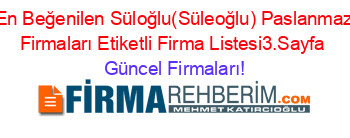 En+Beğenilen+Süloğlu(Süleoğlu)+Paslanmaz+Firmaları+Etiketli+Firma+Listesi3.Sayfa Güncel+Firmaları!
