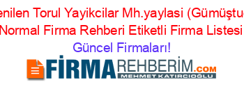 En+Beğenilen+Torul+Yayikcilar+Mh.yaylasi+(Gümüştuğ+Köyü)+Normal+Firma+Rehberi+Etiketli+Firma+Listesi Güncel+Firmaları!