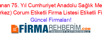 En+Çok+Aranan+75.+Yıl+Cumhuriyet+Anadolu+Sağlık+Meslek+Lisesi+(Corum+Merkez)+Corum+Etiketli+Firma+Listesi+Etiketli+Firma+Listesi Güncel+Firmaları!