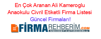 En+Çok+Aranan+Ali+Kameroglu+Anaokulu+Civril+Etiketli+Firma+Listesi Güncel+Firmaları!