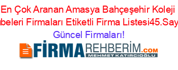 En+Çok+Aranan+Amasya+Bahçeşehir+Koleji+Subeleri+Firmaları+Etiketli+Firma+Listesi45.Sayfa Güncel+Firmaları!