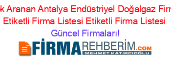 En+Cok+Aranan+Antalya+Endüstriyel+Doğalgaz+Firmaları+Etiketli+Firma+Listesi+Etiketli+Firma+Listesi Güncel+Firmaları!