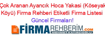 En+Çok+Aranan+Ayancık+Hoca+Yakasi+(Köseyakasi+Köyü)+Firma+Rehberi+Etiketli+Firma+Listesi Güncel+Firmaları!