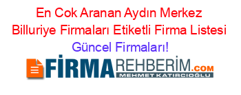 En+Cok+Aranan+Aydın+Merkez+Billuriye+Firmaları+Etiketli+Firma+Listesi Güncel+Firmaları!