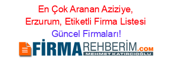 En+Çok+Aranan+Aziziye,+Erzurum,+Etiketli+Firma+Listesi Güncel+Firmaları!