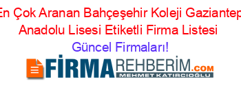En+Çok+Aranan+Bahçeşehir+Koleji+Gaziantep+Anadolu+Lisesi+Etiketli+Firma+Listesi Güncel+Firmaları!