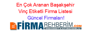 En+Çok+Aranan+Başakşehir+Vinç+Etiketli+Firma+Listesi Güncel+Firmaları!