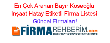En+Çok+Aranan+Bayır+Köseoğlu+Inşaat+Hatay+Etiketli+Firma+Listesi Güncel+Firmaları!