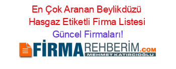 En+Çok+Aranan+Beylikdüzü+Hasgaz+Etiketli+Firma+Listesi Güncel+Firmaları!