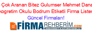 En+Çok+Aranan+Bitez+Gulumser+Mehmet+Danaci+Ilkogretim+Okulu+Bodrum+Etiketli+Firma+Listesi Güncel+Firmaları!