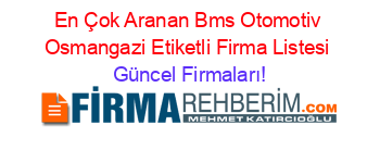 En+Çok+Aranan+Bms+Otomotiv+Osmangazi+Etiketli+Firma+Listesi Güncel+Firmaları!