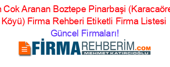 En+Cok+Aranan+Boztepe+Pinarbaşi+(Karacaören+Köyü)+Firma+Rehberi+Etiketli+Firma+Listesi Güncel+Firmaları!