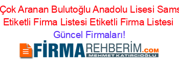En+Çok+Aranan+Bulutoğlu+Anadolu+Lisesi+Samsun+Etiketli+Firma+Listesi+Etiketli+Firma+Listesi Güncel+Firmaları!
