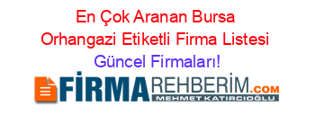 En+Çok+Aranan+Bursa+Orhangazi+Etiketli+Firma+Listesi Güncel+Firmaları!