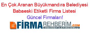 En+Çok+Aranan+Büyükmandıra+Belediyesi+Babaeski+Etiketli+Firma+Listesi Güncel+Firmaları!