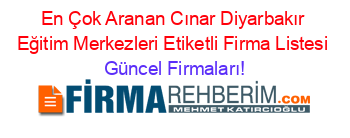 En+Çok+Aranan+Cınar+Diyarbakır+Eğitim+Merkezleri+Etiketli+Firma+Listesi Güncel+Firmaları!