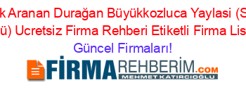 En+Çok+Aranan+Durağan+Büyükkozluca+Yaylasi+(Sariyar+Köyü)+Ucretsiz+Firma+Rehberi+Etiketli+Firma+Listesi Güncel+Firmaları!