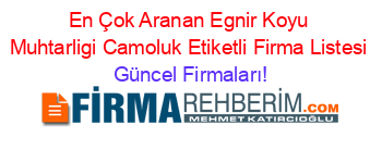 En+Çok+Aranan+Egnir+Koyu+Muhtarligi+Camoluk+Etiketli+Firma+Listesi Güncel+Firmaları!