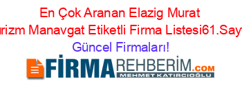 En+Çok+Aranan+Elazig+Murat+Turizm+Manavgat+Etiketli+Firma+Listesi61.Sayfa Güncel+Firmaları!