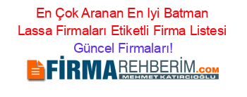 En+Çok+Aranan+En+Iyi+Batman+Lassa+Firmaları+Etiketli+Firma+Listesi Güncel+Firmaları!