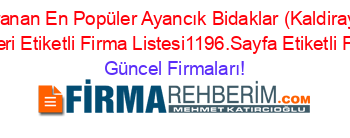 En+Çok+Aranan+En+Popüler+Ayancık+Bidaklar+(Kaldirayak+Köyü)+Firma+Rehberi+Etiketli+Firma+Listesi1196.Sayfa+Etiketli+Firma+Listesi Güncel+Firmaları!