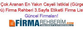 En+Çok+Aranan+En+Yakın+Cayeli+Istiklal+(Gürgenli+Köyü)+Firma+Rehberi+3.Sayfa+Etiketli+Firma+Listesi Güncel+Firmaları!