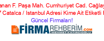 En+Çok+Aranan+F.+Paşa+Mah.+Cumhuriyet+Cad.+Cağlayan+Ege+Iş+Merkezi+B/17+Catalca+/+Istanbul+Adresi+Kime+Ait+Etiketli+Firma+Listesi Güncel+Firmaları!