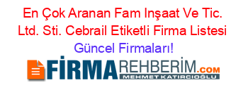 En+Çok+Aranan+Fam+Inşaat+Ve+Tic.+Ltd.+Sti.+Cebrail+Etiketli+Firma+Listesi Güncel+Firmaları!
