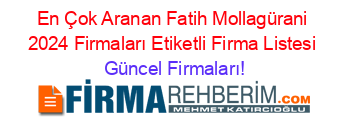 En+Çok+Aranan+Fatih+Mollagürani+2024+Firmaları+Etiketli+Firma+Listesi Güncel+Firmaları!