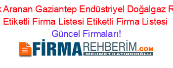 En+Çok+Aranan+Gaziantep+Endüstriyel+Doğalgaz+Rehberi+Etiketli+Firma+Listesi+Etiketli+Firma+Listesi Güncel+Firmaları!
