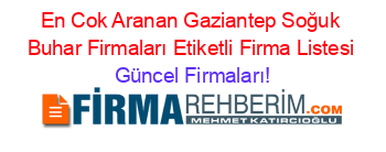 En+Cok+Aranan+Gaziantep+Soğuk+Buhar+Firmaları+Etiketli+Firma+Listesi Güncel+Firmaları!