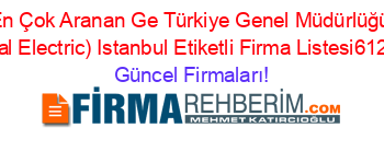 En+Çok+Aranan+Ge+Türkiye+Genel+Müdürlüğü+(General+Electric)+Istanbul+Etiketli+Firma+Listesi612.Sayfa Güncel+Firmaları!