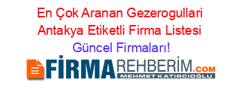 En+Çok+Aranan+Gezerogullari+Antakya+Etiketli+Firma+Listesi Güncel+Firmaları!