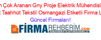 En+Çok+Aranan+Gny+Proje+Elektrik+Mühendislik+Inşaat+Taahhüt+Tekstil+Osmangazi+Etiketli+Firma+Listesi Güncel+Firmaları!