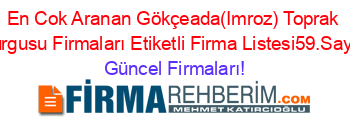 En+Cok+Aranan+Gökçeada(Imroz)+Toprak+Burgusu+Firmaları+Etiketli+Firma+Listesi59.Sayfa Güncel+Firmaları!