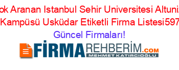 En+Çok+Aranan+Istanbul+Sehir+Universitesi+Altunizade+Güney+Kampüsü+Usküdar+Etiketli+Firma+Listesi597.Sayfa Güncel+Firmaları!