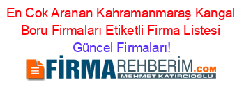 En+Cok+Aranan+Kahramanmaraş+Kangal+Boru+Firmaları+Etiketli+Firma+Listesi Güncel+Firmaları!