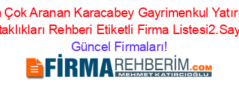 En+Çok+Aranan+Karacabey+Gayrimenkul+Yatırım+Ortaklıkları+Rehberi+Etiketli+Firma+Listesi2.Sayfa Güncel+Firmaları!