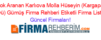 En+Çok+Aranan+Karlıova+Molla+Hüseyin+(Kargapazari+Köyü)+Gümüş+Firma+Rehberi+Etiketli+Firma+Listesi Güncel+Firmaları!