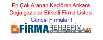 En+Çok+Aranan+Keçiören+Ankara+Doğalgazcılar+Etiketli+Firma+Listesi Güncel+Firmaları!