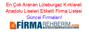En+Çok+Aranan+Lüleburgaz+Kırklareli+Anadolu+Liseleri+Etiketli+Firma+Listesi Güncel+Firmaları!