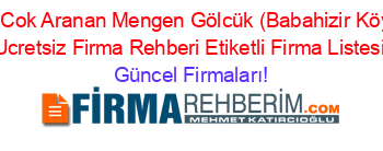 En+Cok+Aranan+Mengen+Gölcük+(Babahizir+Köyü)+Ucretsiz+Firma+Rehberi+Etiketli+Firma+Listesi Güncel+Firmaları!