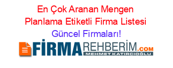 En+Çok+Aranan+Mengen+Planlama+Etiketli+Firma+Listesi Güncel+Firmaları!