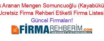 En+Çok+Aranan+Mengen+Somuncuoğlu+(Kayabükü+Köyü)+Ucretsiz+Firma+Rehberi+Etiketli+Firma+Listesi Güncel+Firmaları!